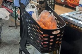 چرخ‌دستی‌های حمل بار به بازارهای روز میوه و تره‌بار کرج اضافه شد