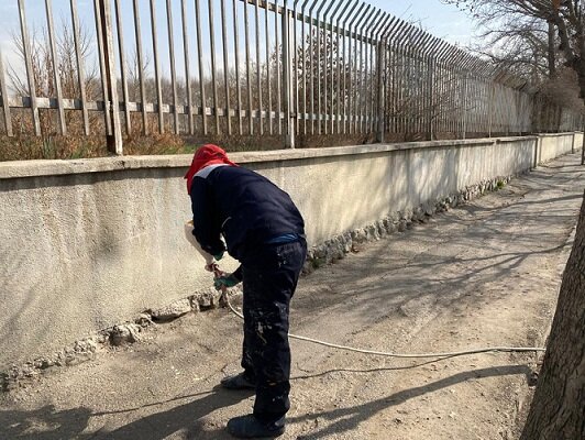 منطقه ۷ پیشتاز در اجرای طرح استقبال از بهار