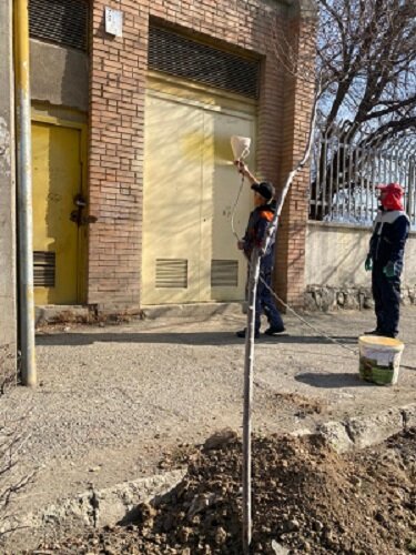 منطقه ۷ پیشتاز در اجرای طرح استقبال از بهار