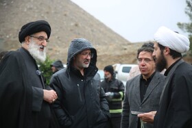 درختکاری