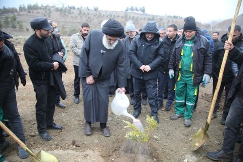 روز درختکاری