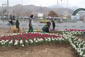 خدمات رسانی بی وقفه سبزبانان در روزهای تعطیل