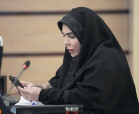 تأکید عضو شورای شهر کرج بر تداوم همراهی مردم در اجتماع شبانه