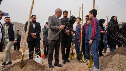 توزیع نهال کیانی