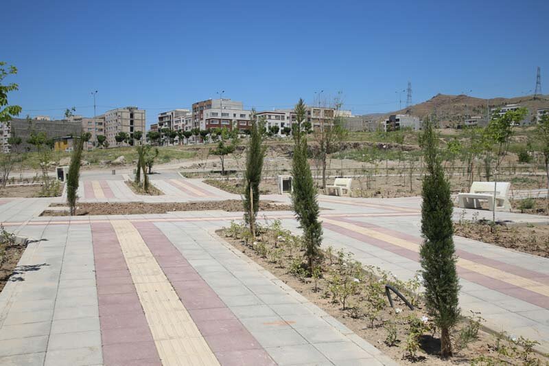 ۳هزار درخت و درختچه در پارک پرواز کاشته شد