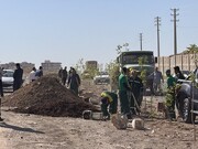 بیش از ۸۵۰ اصله درخت در مسیر حلقه دره کاشته شد