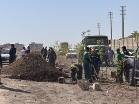 بیش از ۸۵۰ اصله درخت در مسیر حلقه دره کاشته شد