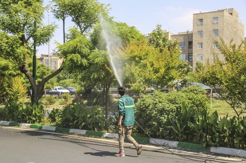 طرح تلفیقی مبارزه با آفات گیاهی در فضای سبز شهر کرج  اجرا می‌شود