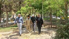 بازدید