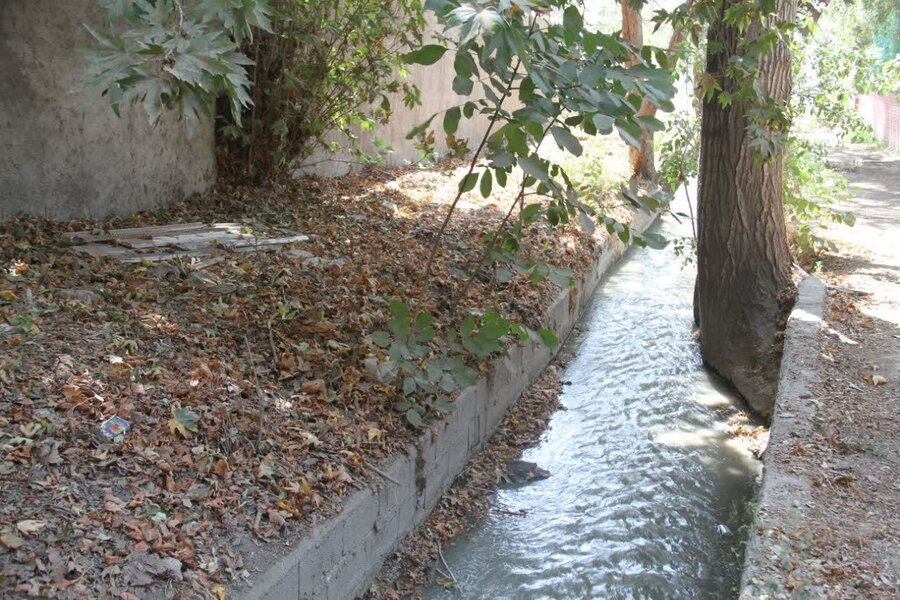 نجات باغات تاریخی کلاک از خشکیدگی؛ حیات به ریههای سبز شهر بازگشت