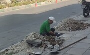 آغاز کاشت ۶۵ اصله نهال چنار در بلوار آزادی کرج