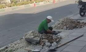آغاز کاشت ۶۵ اصله نهال چنار در بلوار آزادی کرج