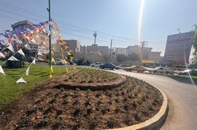 آغاز کاشت ۲۵۰۰ بوته گل فصلی در منطقه ۶ کرج / رنگ‌آمیزی مبلمان شهری و وسایل بازی در دستور کار