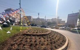 کاشت چهل‌ویک هزار و ۷۰۰ گلدان گل پاییزه در منطقه ۱ کرج در طرح استقبال از مهر