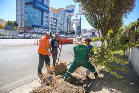 بلوار سه باندی رجایی شهر