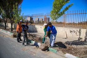 بلوار سه باندی رجایی شهر