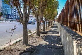 بلوار سه باندی رجایی شهر