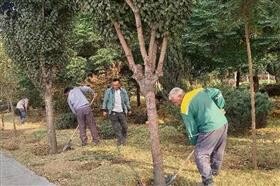 تحول سبز در منطقه ۵ کرج با کاشت گل و بهسازی پارک ها