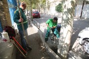 آزادسازی طوقه درختان کهنسال و کاشت ۵۸۰۰ درخت در کرج