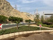 توسعه بیش از ۱۵۰۰ مترمربع فضای سبز در بلوار جانبازان کرج