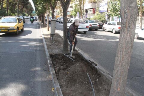 سیما منظر