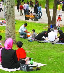 روزی برای آشتی با طبیعت/بهانه ای برای با هم بودن