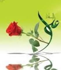 روایات تاریخی درباره ولادت امیر مومنان حضرت علی (ع)