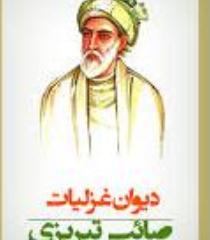 زندگی نامه میرزا محمّدعلی متخلّص به صائب تبريزی
