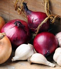 با سیر و پیاز بیشتر از صد سال عمرکنید