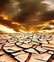 19 راه حل برای مقابله با بحران جهانی آب