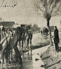 روایتی از «توتک» پَزی و دورهمی‌ها در البرز/در کرج قدیم قدم بزنید
