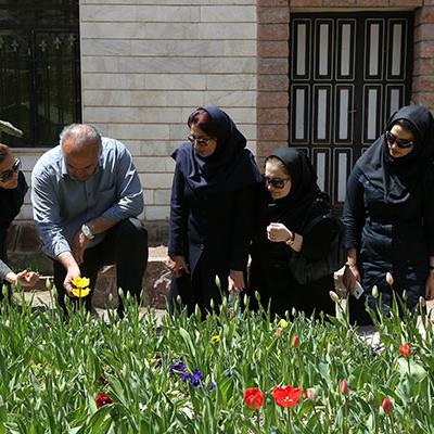 مدیرعامل سازمان پاركهای كرج از جشنواره لاله های گچسر بازدید كرد