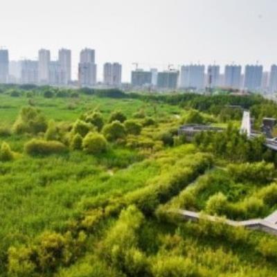 شهر اسفنجی، راهکار محققان چینی در مقابل تغییرات آب و هوایی و احتمال بروز سیل